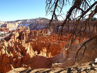 Desert