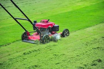 Lawn mower cutting green grass in backyard,Garden service,grass cutter cutting green lawns.