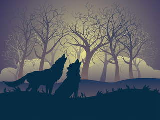 Wolf Howling in the Night Forest