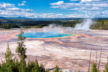 Majestic Grand Prismatic Spring  in Yellowstone National Park.
