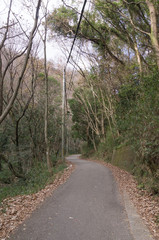 Gravel road of Mt.rokko in kobe,Japan. 