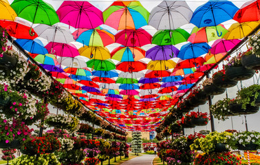 Fototapeta na wymiar Colorful Umbrellas 