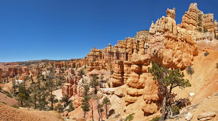Desert