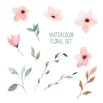 Watercolor floral set. Painted flowers