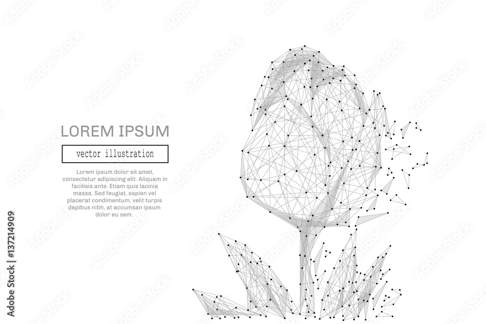 Poster Grey tulip with polygon line on abstract background. Polygonal space low poly with connecting dots and lines. Connection structure. Vector science background