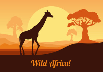 African landscape in orange tones. Giraffe on the background of the sun. Vector illustration in flat style.