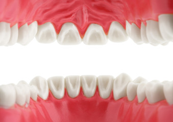 white teeth, view from mouth, isolated with path