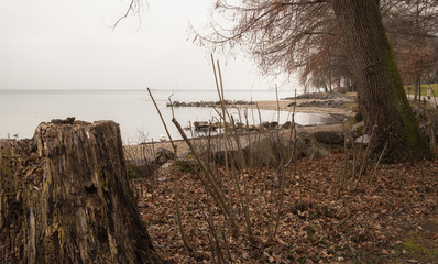 Waterfront at the Geneva (Leman) Lake in Lausanne