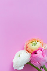 Spring flowers on pink background. Fresh flowers. Place for text.