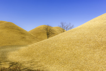 The Royal Tombs of Shila,Tumuli in Kyeongju,South Korea.