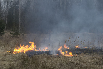 A spring fire. Burning grass. Field Smoke Background 
