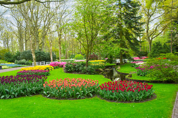 Beautiful spring flowers in Keukenhof park in Netherlands (Holland)
