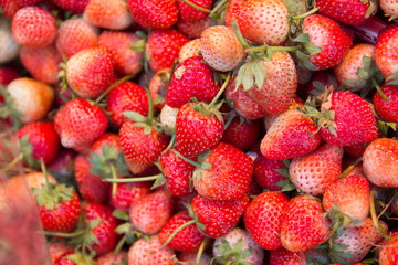 Fresh Strawberry in food market