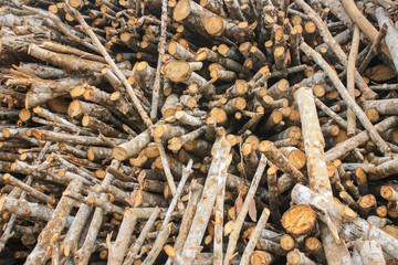 Dry wood for industry