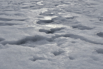 Pattern in snow on a lake