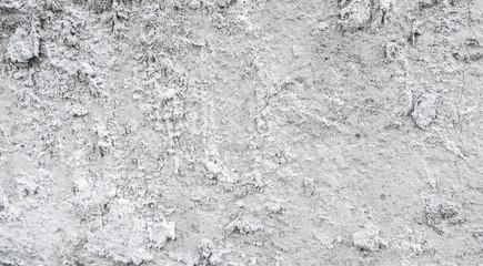white rough concrete texture or background