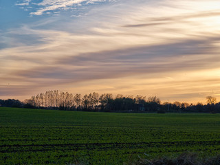 Landscape of green fields and a dramatic sunset