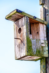 wooden birdhouse