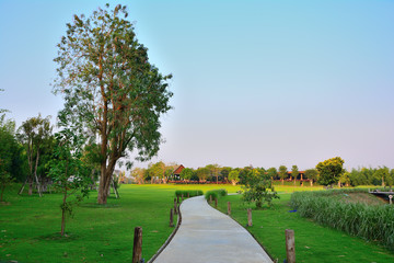 Garden path and natural landscape.