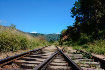 Fototapeta na wymiar The Main Line Rail Road In Sri Lanka . The Line Begins At Colombo Fort And Winds Through The Sri Lankan Hill Country To Reach Badulla