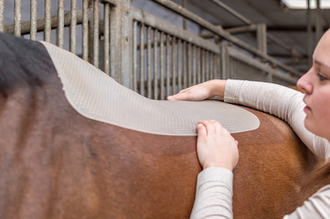 Reitsport - Pferd satteln mit Silikon Unterlage