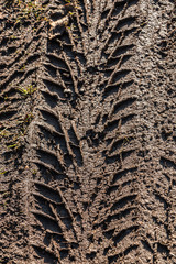 Tire track