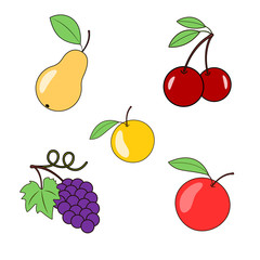 Fruits and berries on a transparent background. Pear grapes apple and cherry. Vector