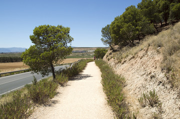 Road to Santiago from Los Arcos to Logroño