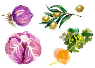 Watercolor vegetables isolated on white