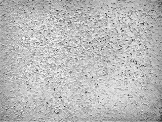Texture Gray Wall or Old Paper. Vector