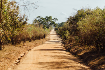Safari road
