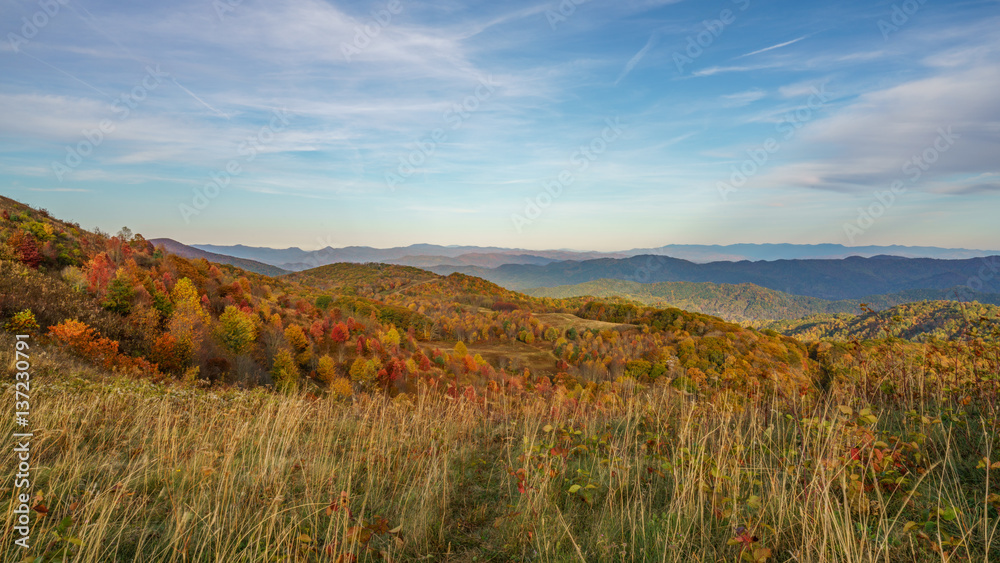 Wall mural fall on max patch mountain