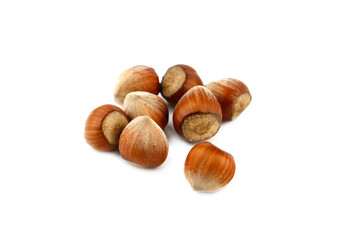 Whole hazelnuts on white background
