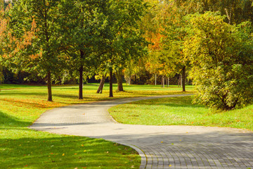 Fallen yellow leaves on a path in a city park.