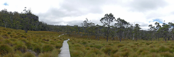 Cradle Valley Boardwalk,Cradle Mountain - Lake St Clair National Park, Tasmania, Australia