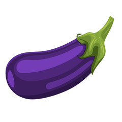 Fresh Eggplant vegetable