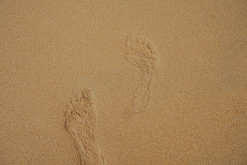 beach, wave and footsteps at sunset time