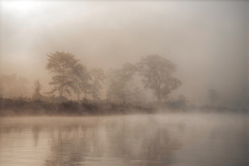 Chitwan National Park