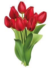 bouquet of red tulips