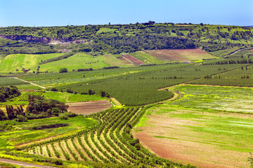 Fototapeta na wymiar Countryside Farms Farmlands Obidos Portugal