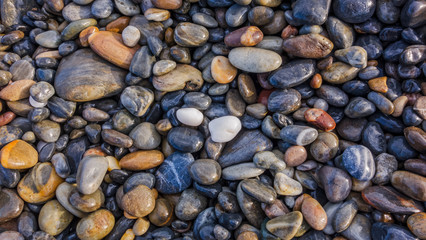 Wet pebbles on the seashore.  Background