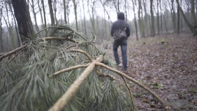 man walking in forest on rainy autumn day
