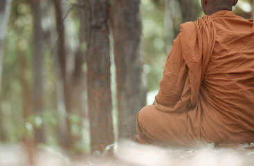 Novice monk meditating, The concept of meditation