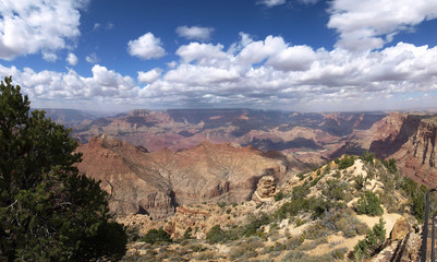 The Grand Canyon