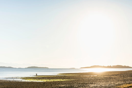 Distant view of couple on beach at Rathrevor Beach Provincial Park, Vancouver Island, British Columbia, Canada