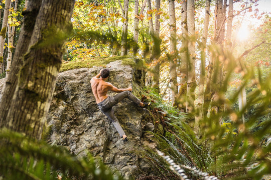 Male boulderer moving up forest boulder, Horne Lake Caves Provincial Park, Vancouver Island, British Columbia, Canada