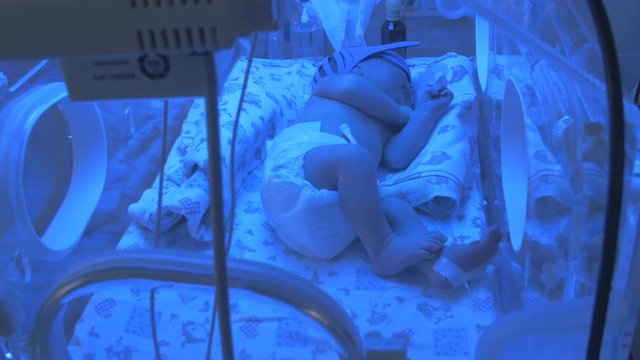 Newborn baby sleeping in hospital bed in intensive care unit. 4K.