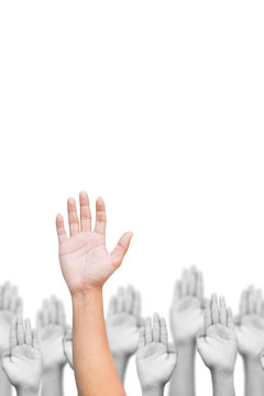 Business crowd raising hands high up on white background. Concept Business / Question / Ask.