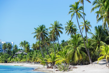 the most beautiful tropical beach. Clear water, blue sky, greem palm trees, white sand.
