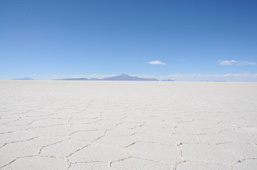 Insel im Salar de Uyuni